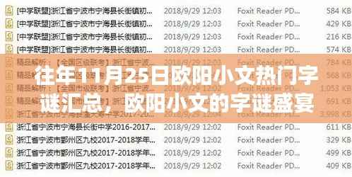 欧阳小文字谜盛宴,历年11月25日字谜汇总与温馨之旅
