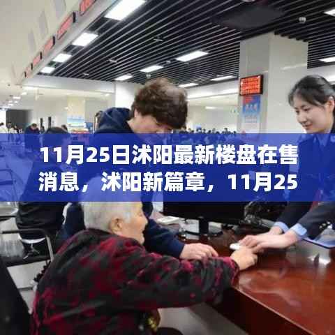 沭阳最新楼盘市场动态,深度观察与最新消息