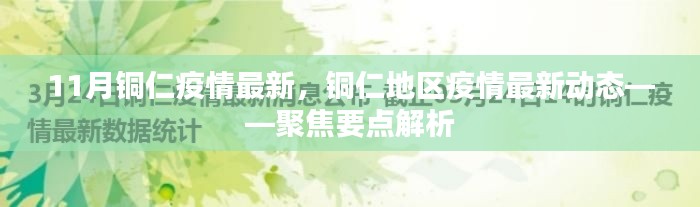 铜仁地区疫情最新动态解析,聚焦疫情要点关注与最新进展