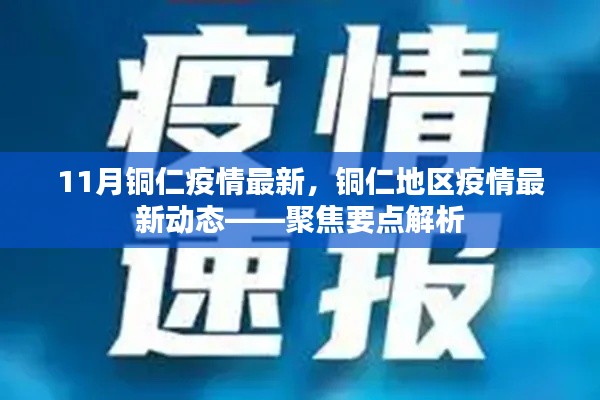 铜仁地区疫情最新动态解析,聚焦疫情要点关注与最新进展