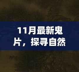 11月最新鬼片探寻秘境之旅,唤醒内心的宁静与微笑