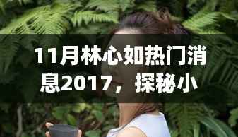 11月林心如热门消息2017,探秘小巷深处的独特风味——林心如带你走进隐藏的美食秘境,揭秘特色小店
