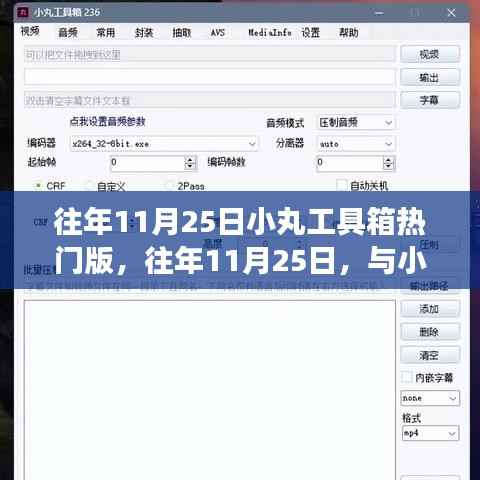 往年11月25日小丸工具箱热门版,往年11月25日,与小丸工具箱一起探寻自然秘境,寻找内心的宁静之旅