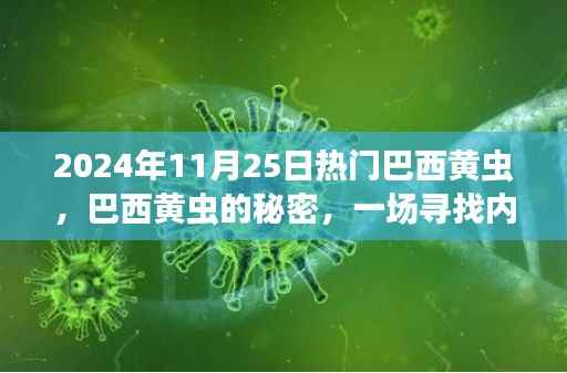 巴西黄虫的秘密,寻找内心平静的奇妙旅程纪实