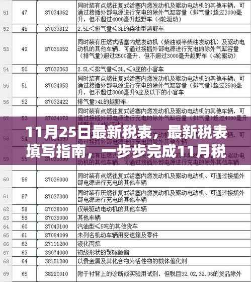 最新税表填写指南,一步步完成11月税表填报,适合初学者与进阶用户