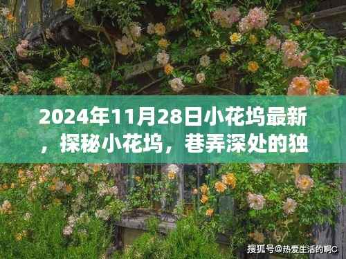 探秘小花坞,巷弄深处的独特风味,惊喜之旅(最新报道,2024年11月28日)