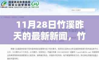 竹溪热点速递,11月28日最新新闻与新鲜资讯汇总