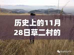 揭秘草二村风云变幻,历史上的11月28日最新消息揭秘