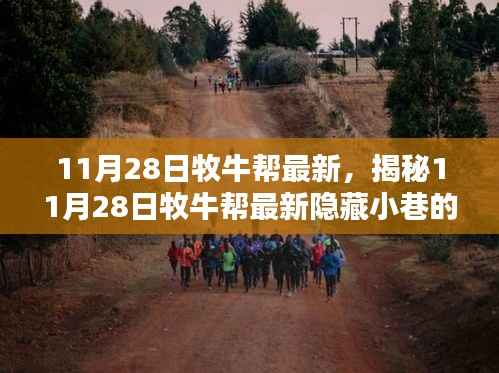 揭秘牧牛帮最新隐藏小巷特色小店,独特环境等你来探索