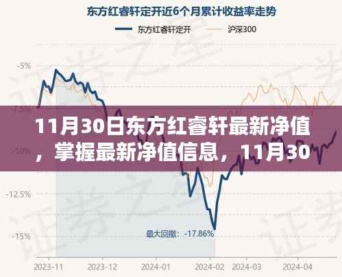 11月30日东方红睿轩最新净值查询全攻略,初学者与进阶用户适用的净值信息及操作指南