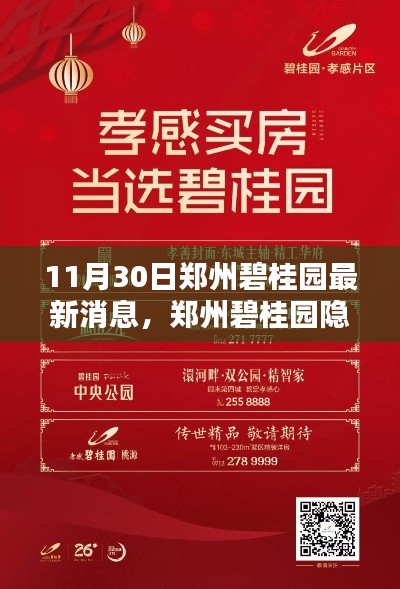 郑州碧桂园隐秘小巷的美食探秘,最新消息与独家发现(11月30日)