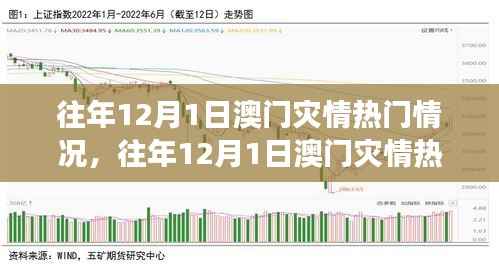 澳门历年12月1日灾情热点解析,多方观点与个人立场透视