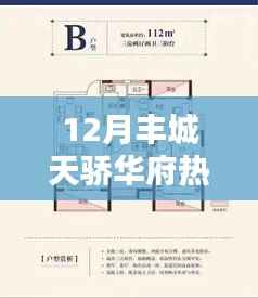 揭秘丰城天骄华府房价走势,深度解析十二月热门楼盘房价动态