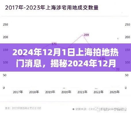 揭秘上海拍地热潮,热门地块动态与未来展望(2024年12月1日更新)