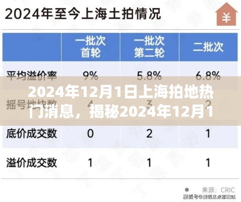 揭秘上海拍地热潮,热门地块动态与未来展望(2024年12月1日更新)