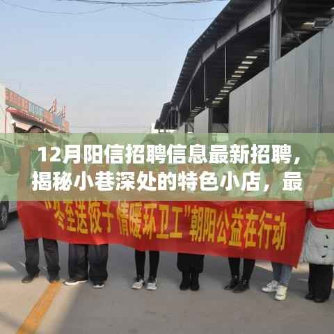 揭秘阳信招聘新动向,小巷特色小店招募人才,职场最新招聘信息速递!