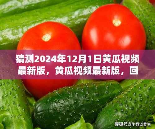 回顾与预测,黄瓜视频最新版的发展趋势及未来展望(2024年12月1日)