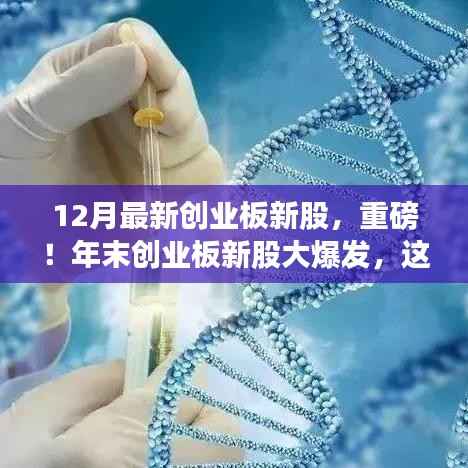 年末创业板新股大爆发,新星企业亮相,投资者不容错过!