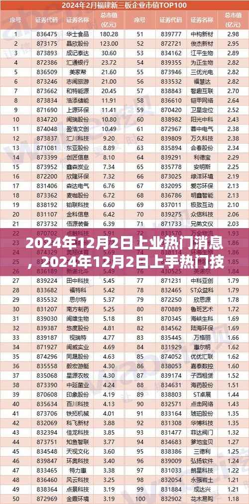 2024年12月2日热门消息与技能指南,步步为营,轻松掌握新任务