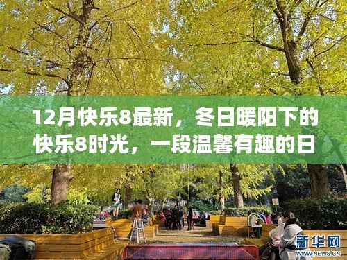 冬日暖阳下的快乐8时光,温馨有趣的日常故事揭秘