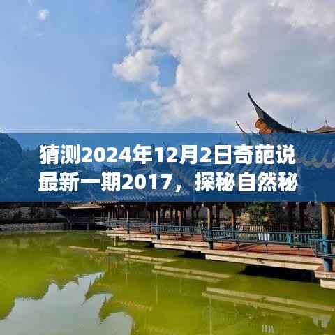 贵人善忘 第4页