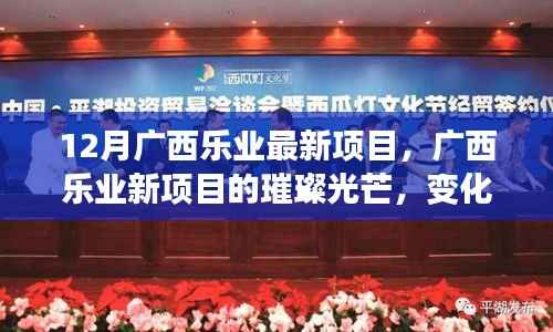 广西乐业新项目,变化中的学习成就自信与璀璨光芒的源泉