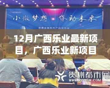 广西乐业新项目,变化中的学习成就自信与璀璨光芒的源泉