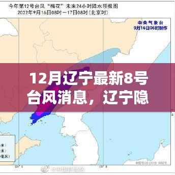 辽宁隐秘小巷特色小店,台风下的独特风情与最新台风消息