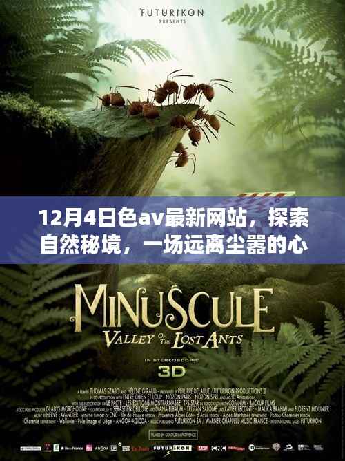 12月4日色av最新网站,探索自然秘境,一场远离尘嚣的心灵之旅,带你领略大自然的魅力