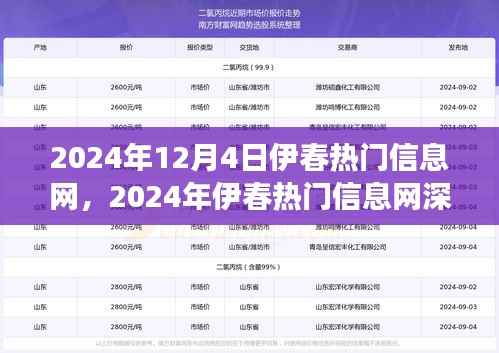 伊春热门信息网深度评测,特性、体验、竞争分析与用户洞察