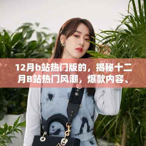 揭秘十二月B站热门风潮,热门内容、人气UP主与潮流趋势全面解析