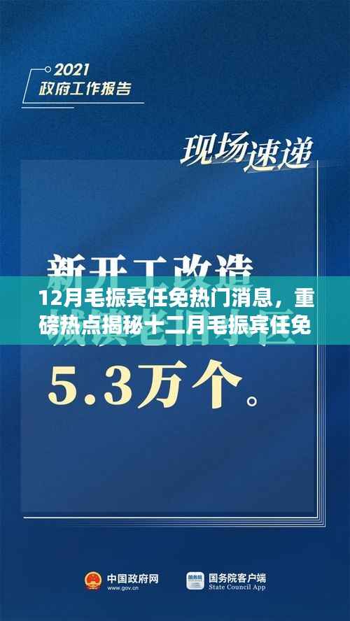 揭秘毛振宾十二月任免新动向,深度解析背后的原因与热点热议