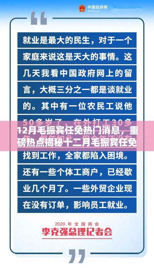 揭秘毛振宾十二月任免新动向,深度解析背后的原因与热点热议