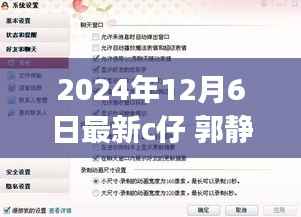 C仔郭静静,初学者与进阶用户指南——跟随C仔完成特定任务学习新技能的最新指南(2024年12月6日)