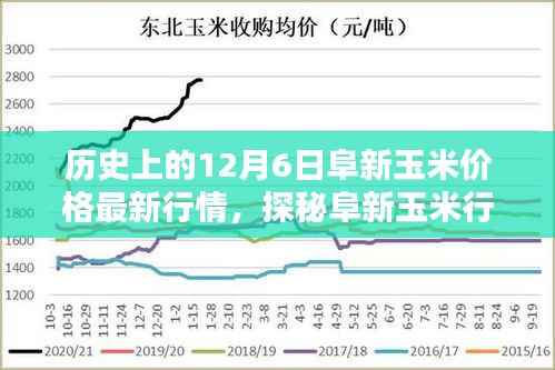 阜新玉米行情探秘,独家揭秘隐藏小巷中的宝藏店最新行情