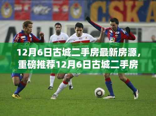 12月6日古城二手房最新房源精选推荐,优质选择任你挑选