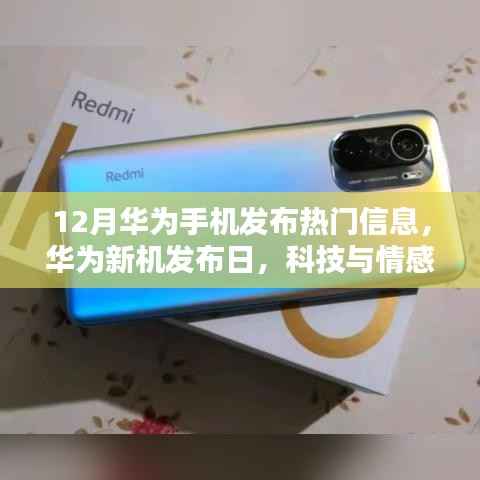华为新机发布日,科技与情感的温馨交融,12月热门手机信息揭晓