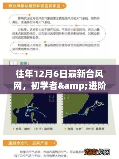往年12月6日最新台风网使用指南,初学者与进阶用户步骤详解