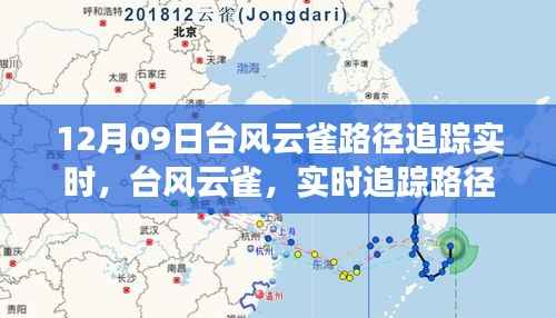台风云雀最新动态,风云变幻下的实时追踪路径分析(12月09日更新)