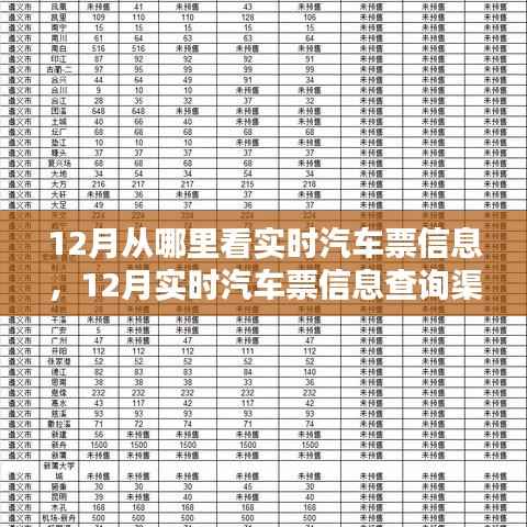 12月汽车票实时信息查询攻略,渠道优劣分析与选择建议