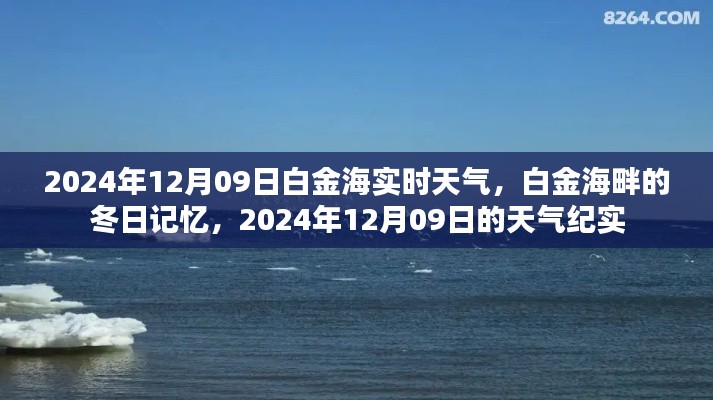 白金海畔冬日纪实，2024年12月09日的天气与记忆