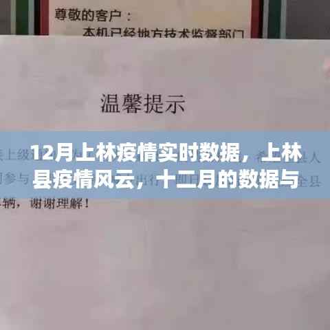 上林县疫情风云,十二月实时数据与反思
