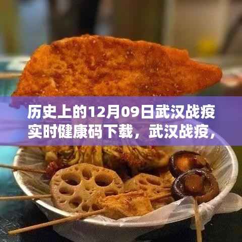 武汉战疫实时健康码下载的历史回眸,十二月九日回顾与反思