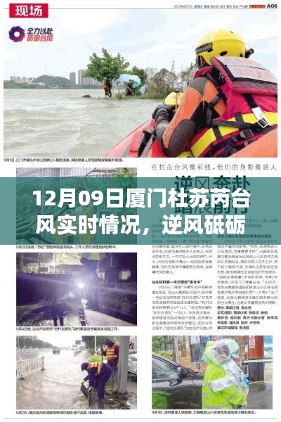 厦门杜苏芮台风下的逆风砥砺前行,实时情况及励志篇章