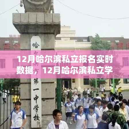 哈尔滨私立学校报名实时数据观察与深度思考