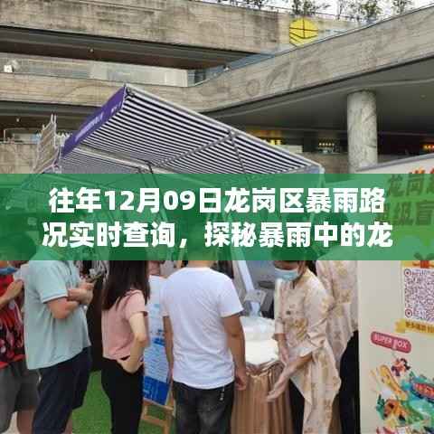 探秘暴雨中的龙岗秘境,实时路况查询与小巷深处的独特风情与隐藏美味(往年12月09日龙岗区暴雨实况)