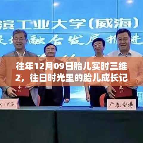 胎儿成长记录,开启三维人生的新篇章——胎儿实时三维与成长变化学习之旅