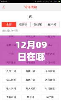 12月09日实时公交查询指南,轻松获取公交位置信息