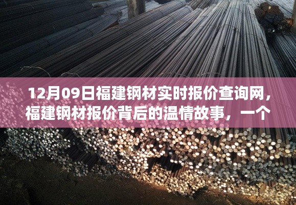 福建钢材报价背后的温情故事,友情与陪伴的温馨日常查询网