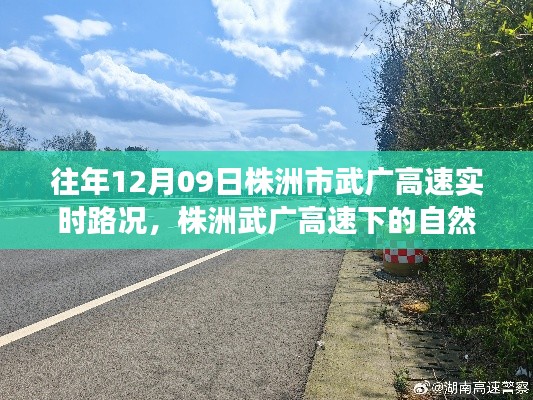 株洲武广高速实时路况与秘境探索,寻找内心平静的旅程
